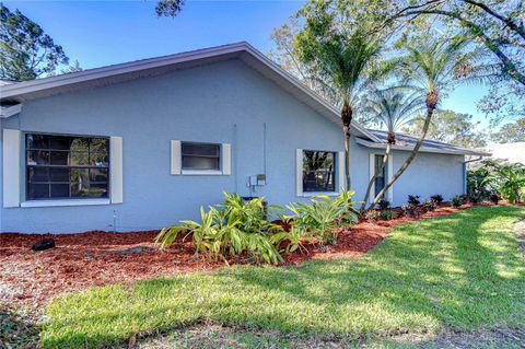 A home in TAMPA