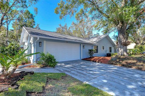 A home in TAMPA