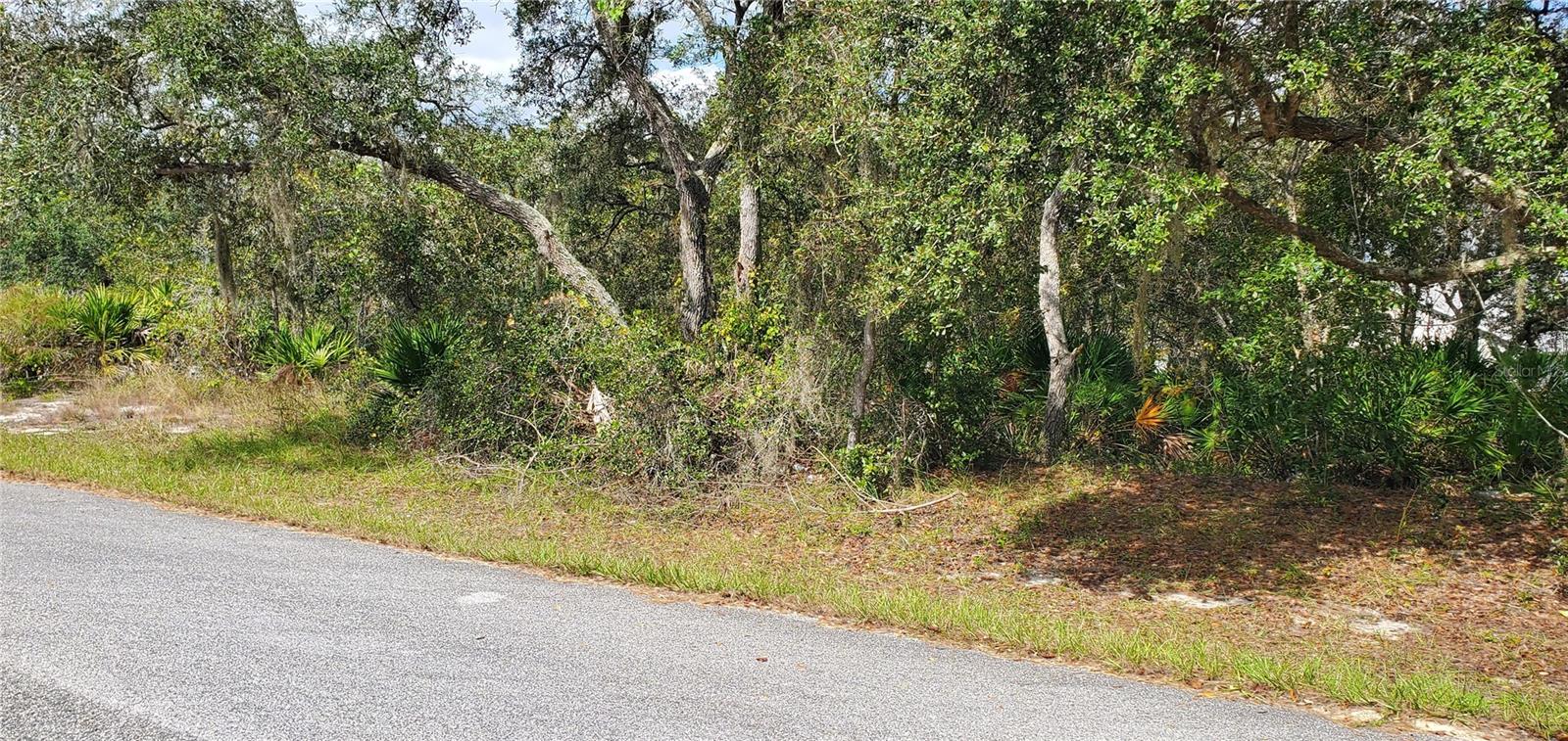 POINCIANA NBRHD 04 VILLAGE 07 - Land