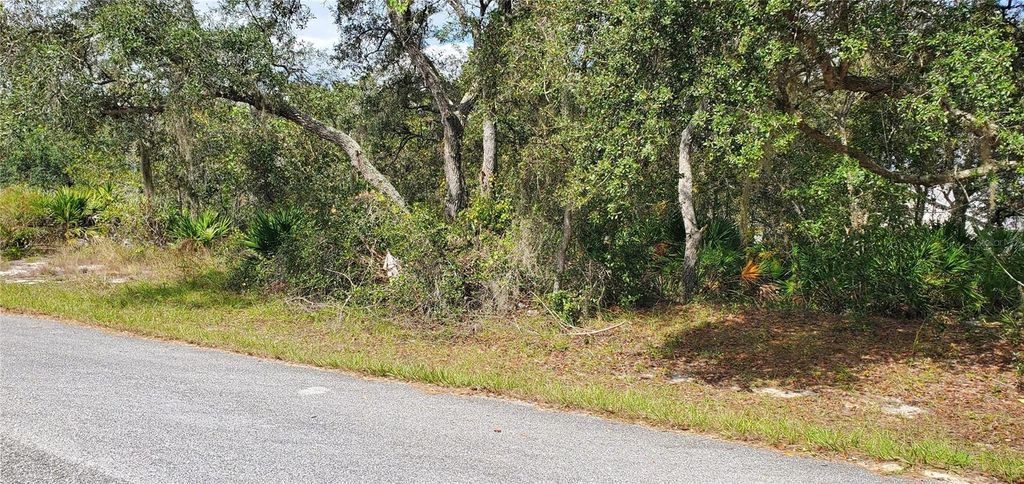 Photo of 111 Warmouth Lane, Kissimmee, FL 34759 (MLS # S5137612)