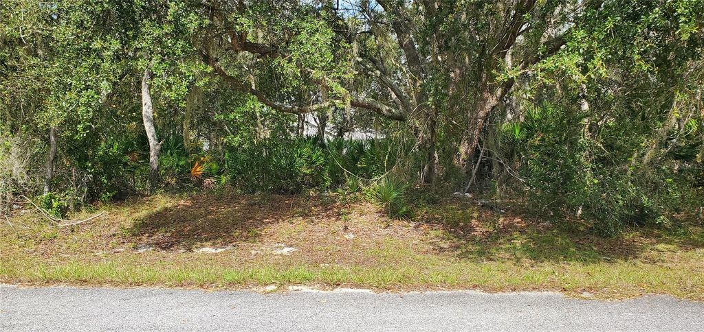 Photo of 111 Warmouth Lane, Kissimmee, FL 34759 (MLS # S5137612)