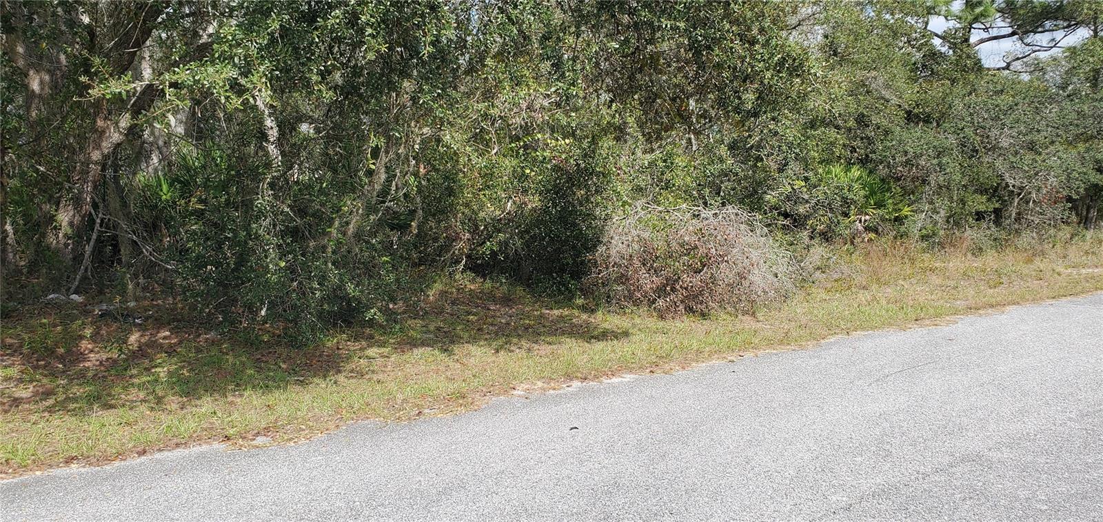 POINCIANA NBRHD 04 VILLAGE 07 - Land