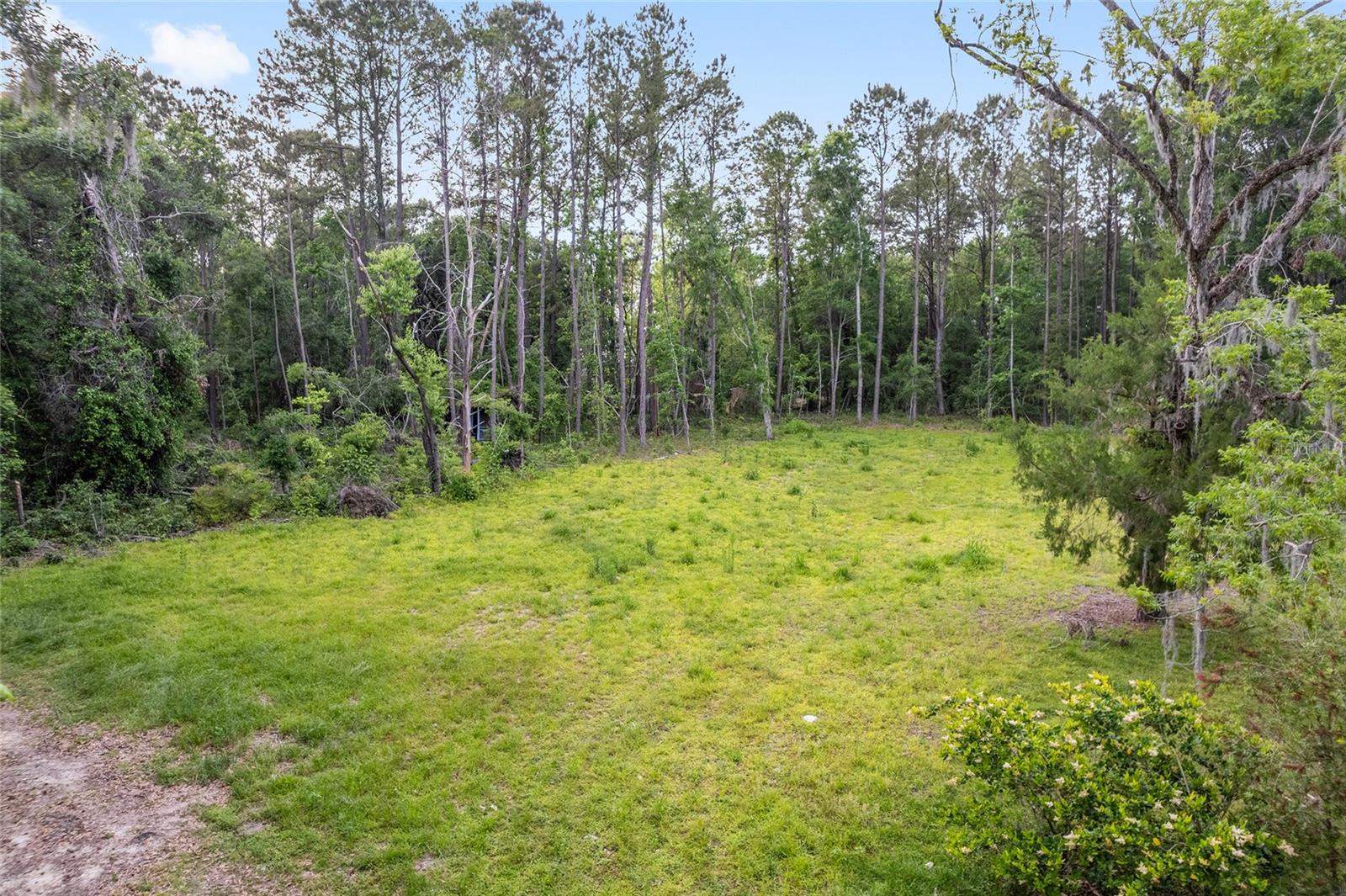 ALACHUA REALTY CO ADD TO ALACHUA - Land