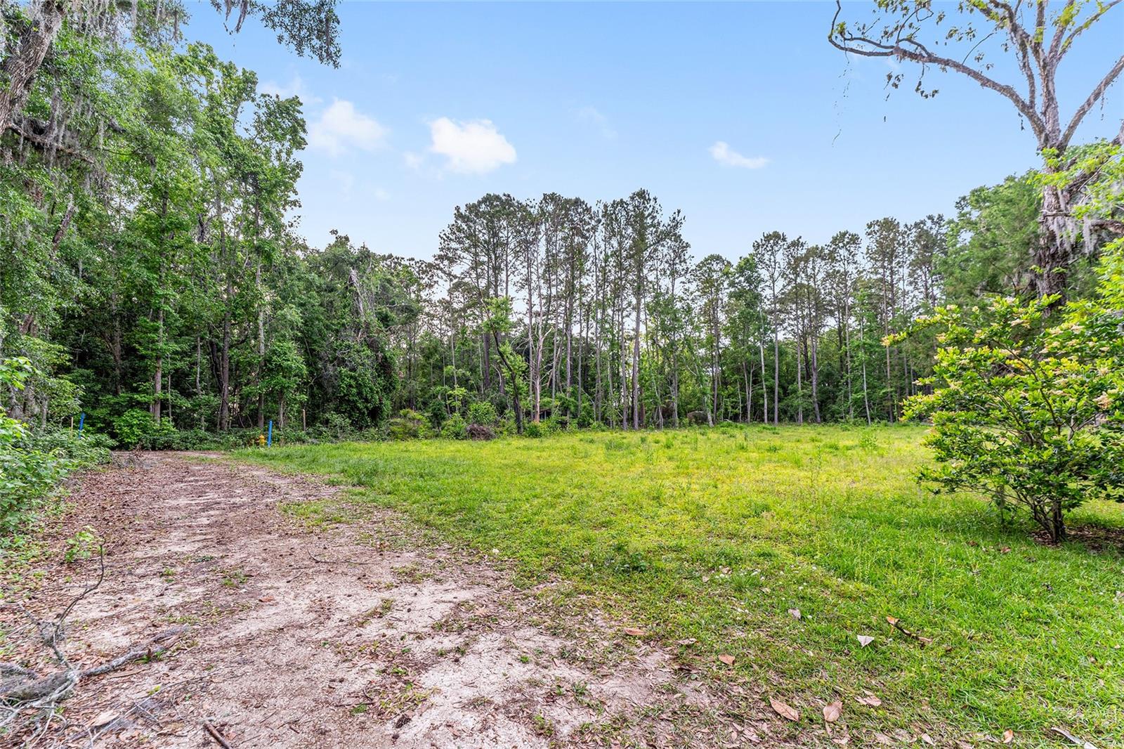 ALACHUA REALTY CO ADD TO ALACHUA - Land