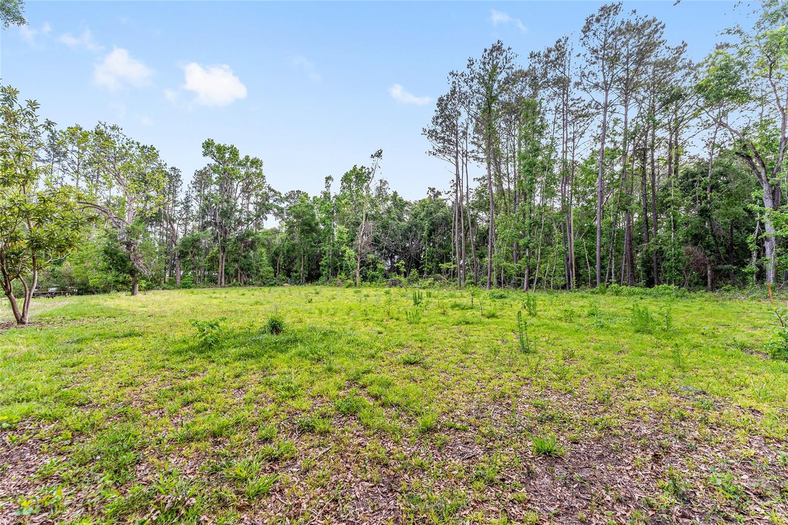 ALACHUA REALTY CO ADD TO ALACHUA - Land