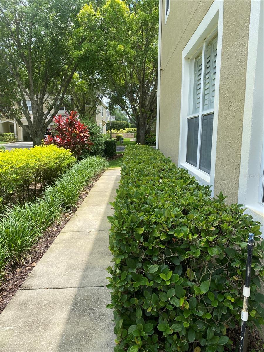 2548 GALLIANO CIRCLE