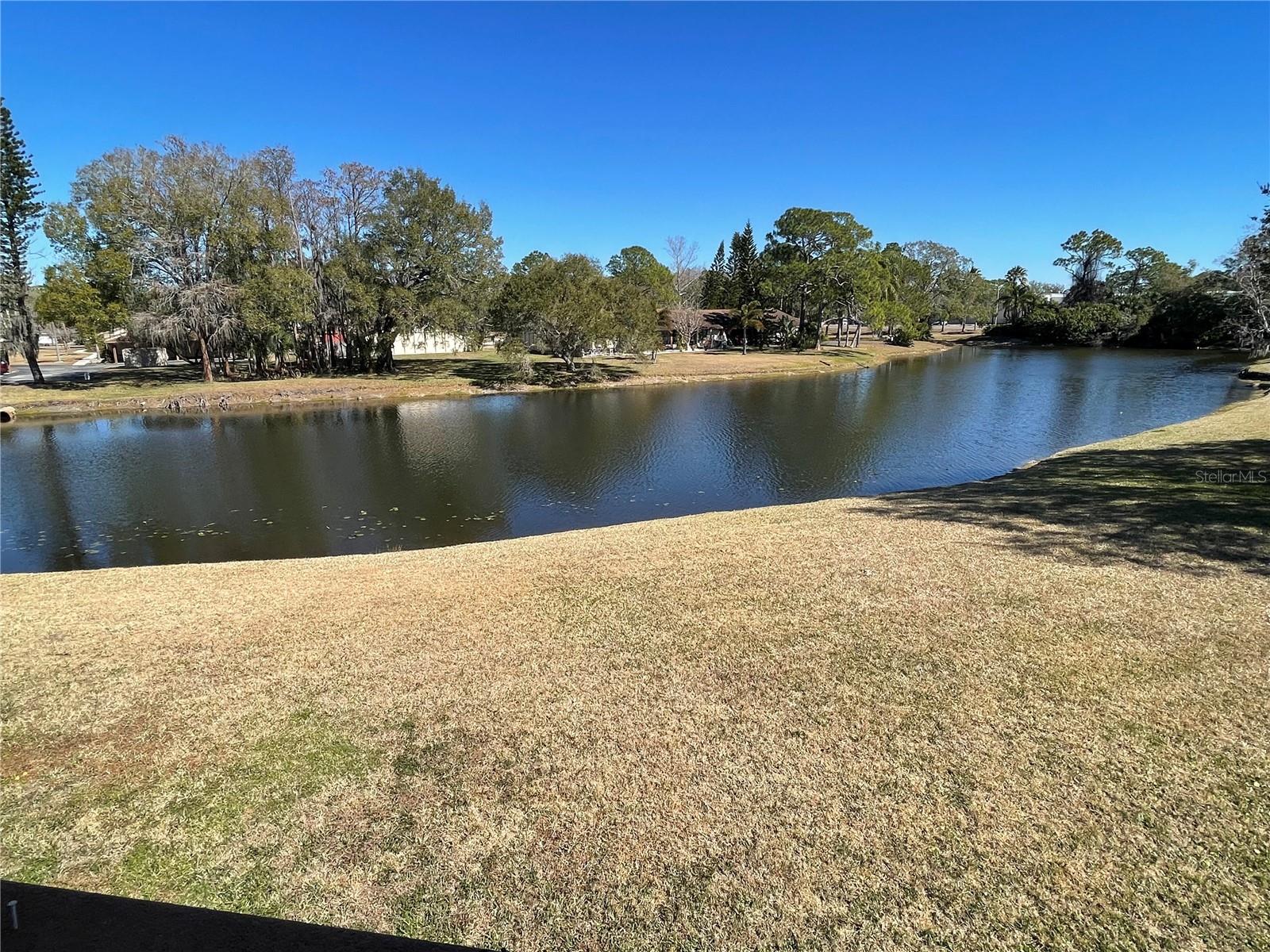 GARDENS OF FOREST LAKES CONDO THE - Residential