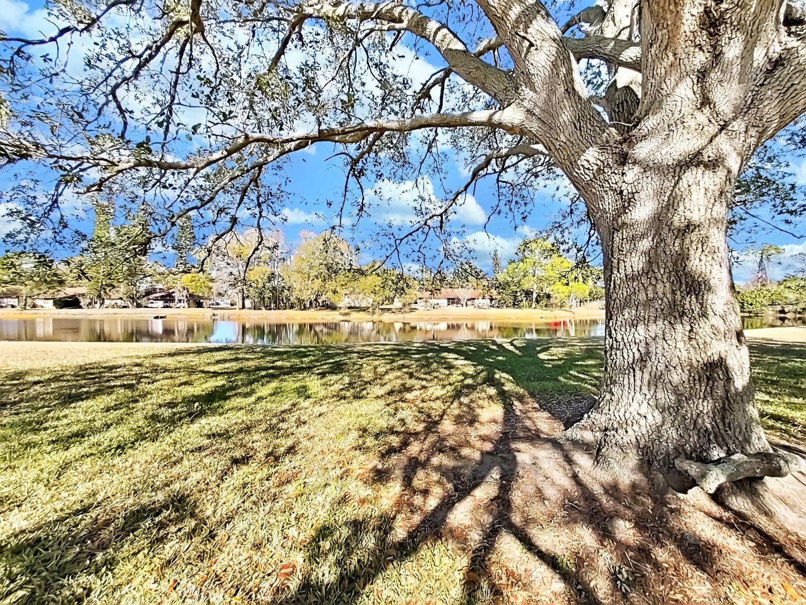 GARDENS OF FOREST LAKES CONDO THE - Residential