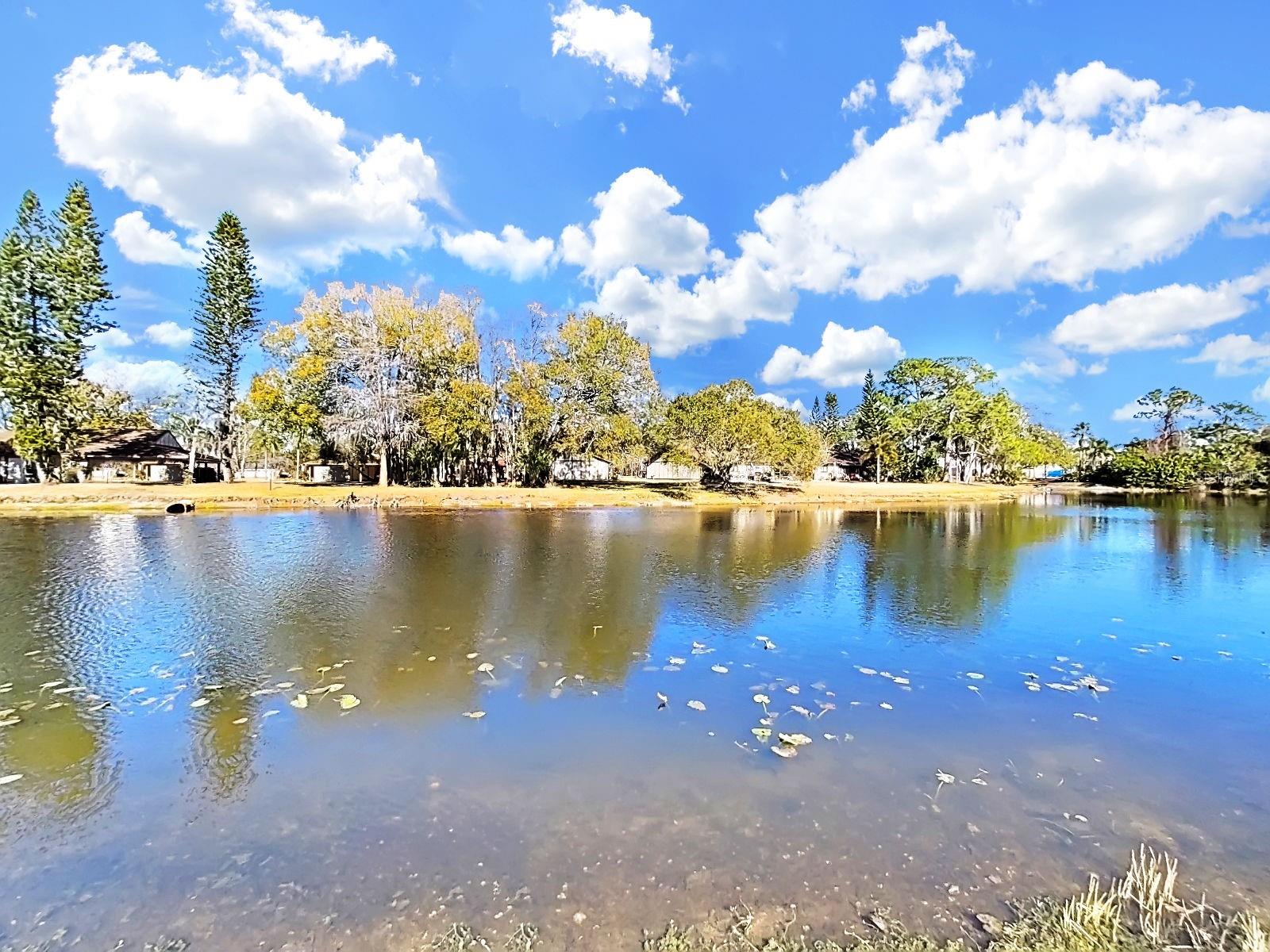 GARDENS OF FOREST LAKES CONDO THE - Residential