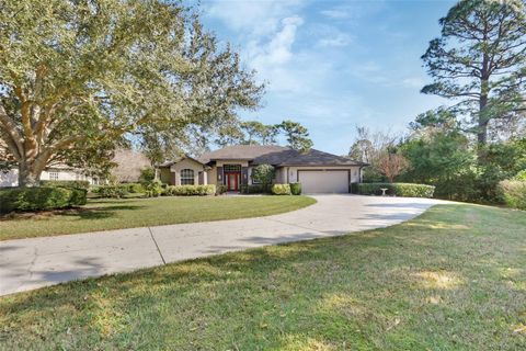 A home in DEBARY