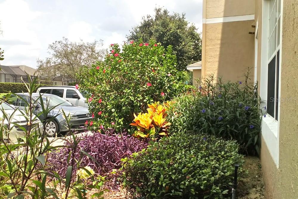 WYNDHAM PALMS CONDO PH 2 - Residential