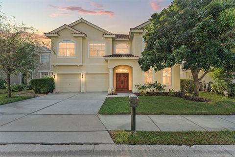 A home in DUNEDIN