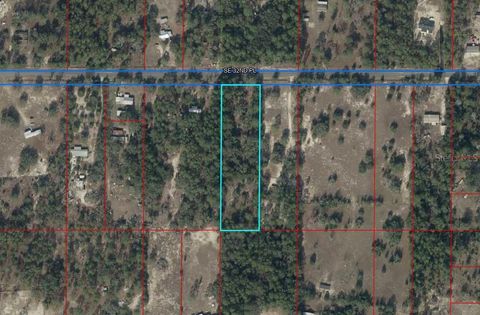 11550 SE 32ND PLACE MORRISTON FL 32668