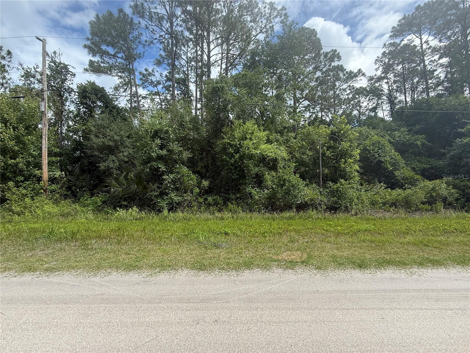 Discover the perfect opportunity to build your dream home on this spacious 1.14-acre high and dry lot. This buildable parcel offers the ideal setting with plenty of room for your home, garage, garden, and more. Located in a peaceful area with no HOA, this property provides privacy and flexibility for a variety of uses.
Whether you're looking to construct a custom home, place a modular or manufactured home, or simply invest in land, this lot has the potential to fit your needs. Zoned for residential use with ample space for outdoor living, animals, and toys.