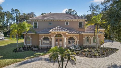 Photo of 13950 Smokerise Court, Orlando, FL 32832 (MLS # O6354884)