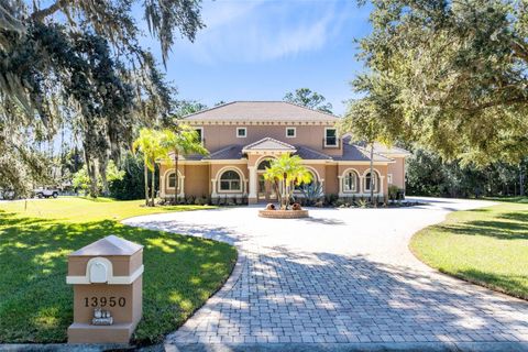 13950 SMOKERISE COURT ORLANDO FL 32832