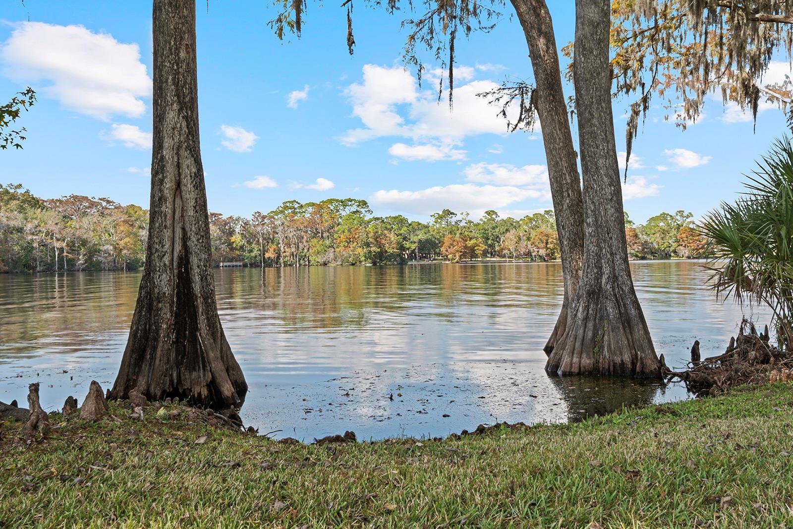MILLS LANDING - Residential