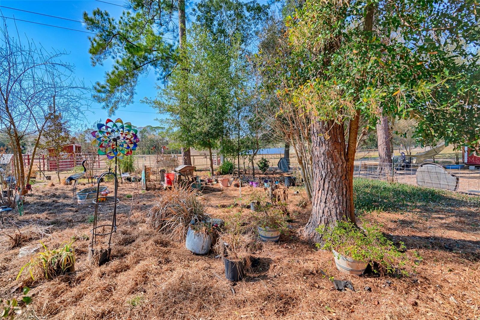 ROOTERVILLE - Residential