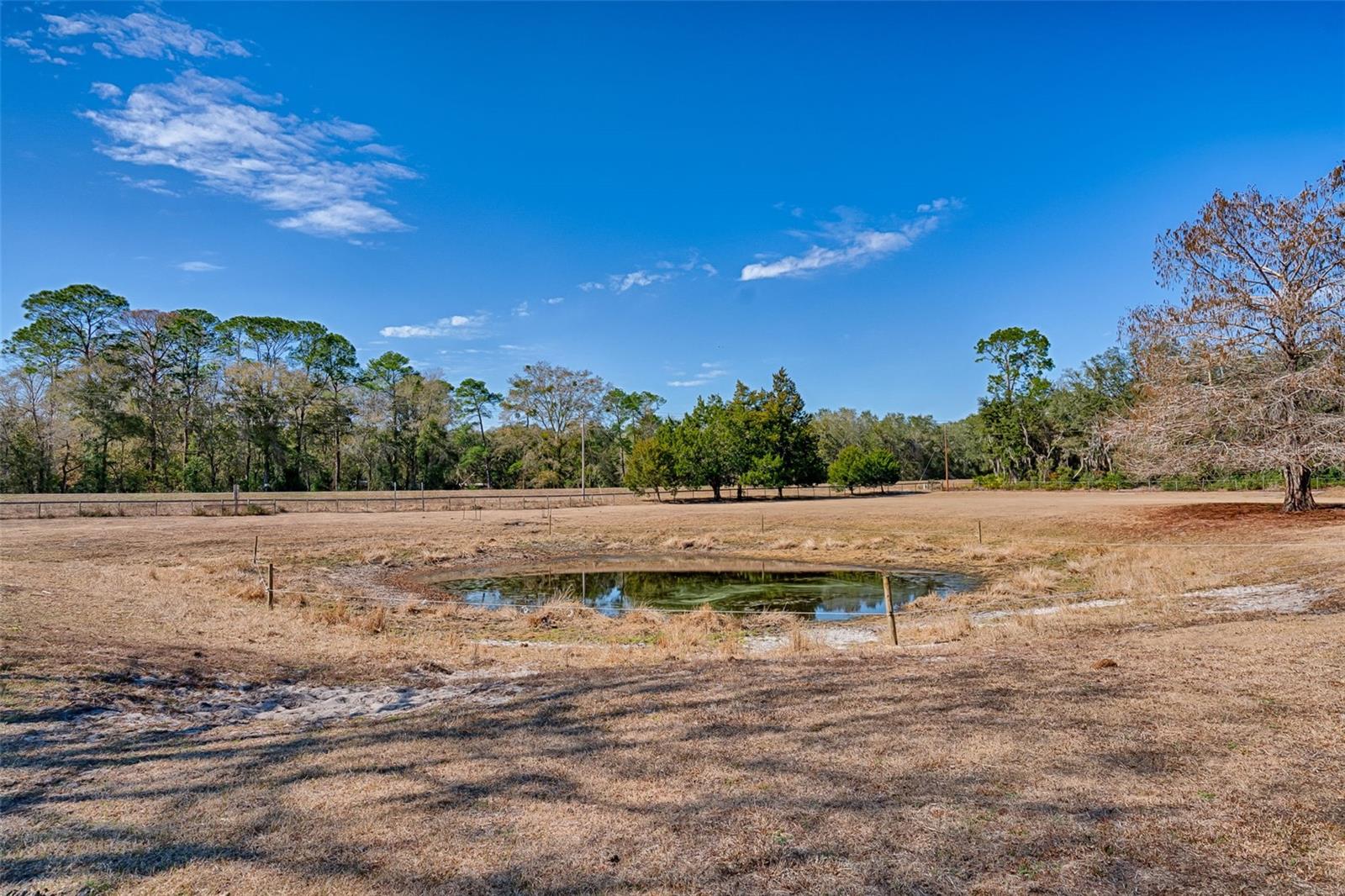 ROOTERVILLE - Residential