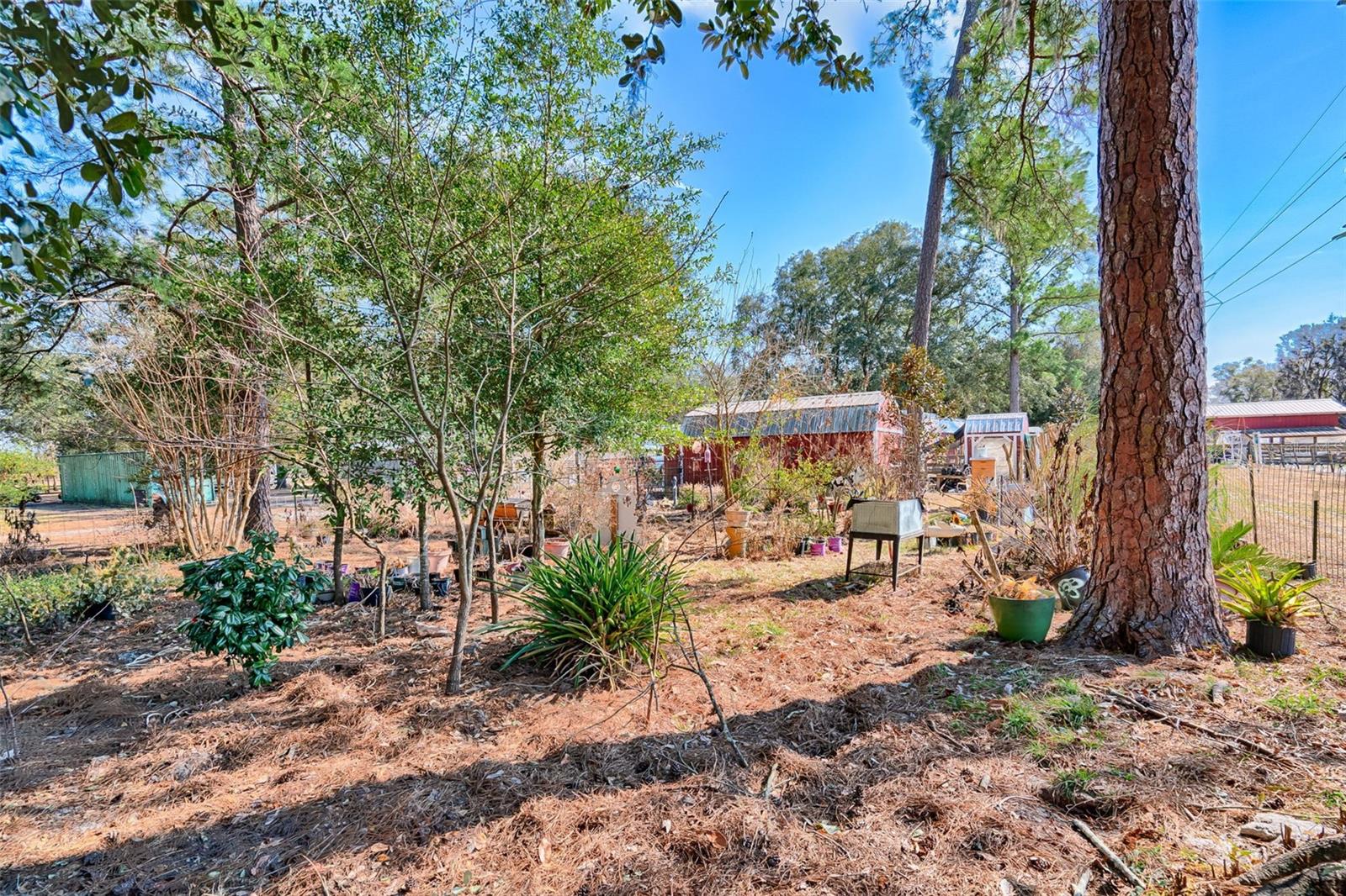 ROOTERVILLE - Residential