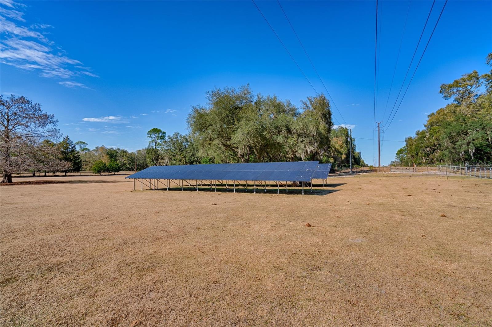 ROOTERVILLE - Residential