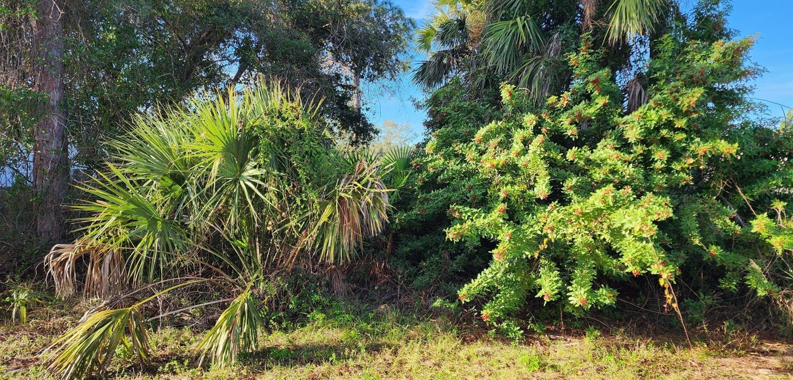 Time to start living the Florida Lifestyle. Start now with this vacant lot and build your Florida Dream Home. Nice location in North Port. Nearby parks, schools, shopping, restaurants, golf, beaches and more.....Don't miss the boat on this one....Plenty of local builders to help plan your New Florida Home. Call today for more information.