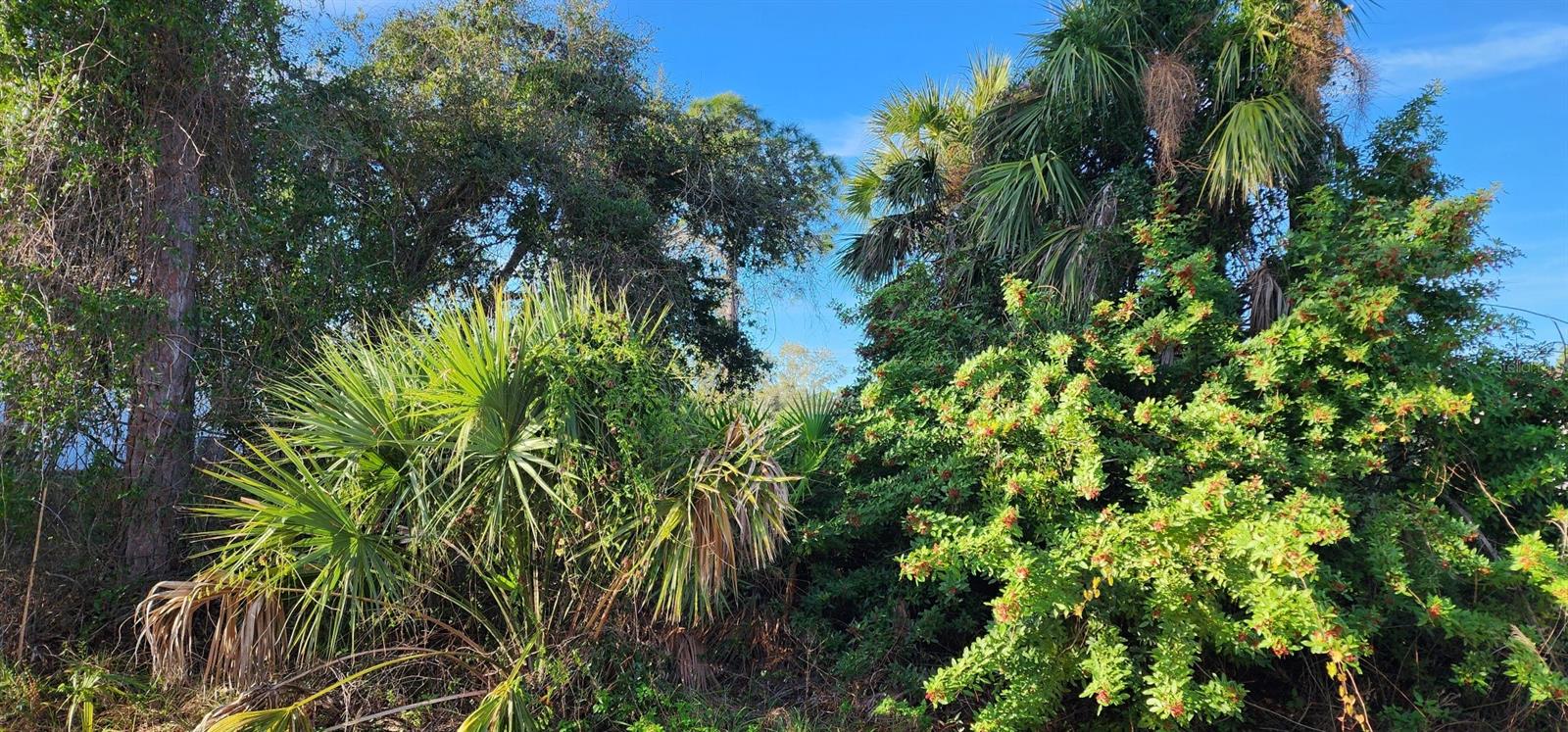 PORT CHARLOTTE SUB 23 - Land