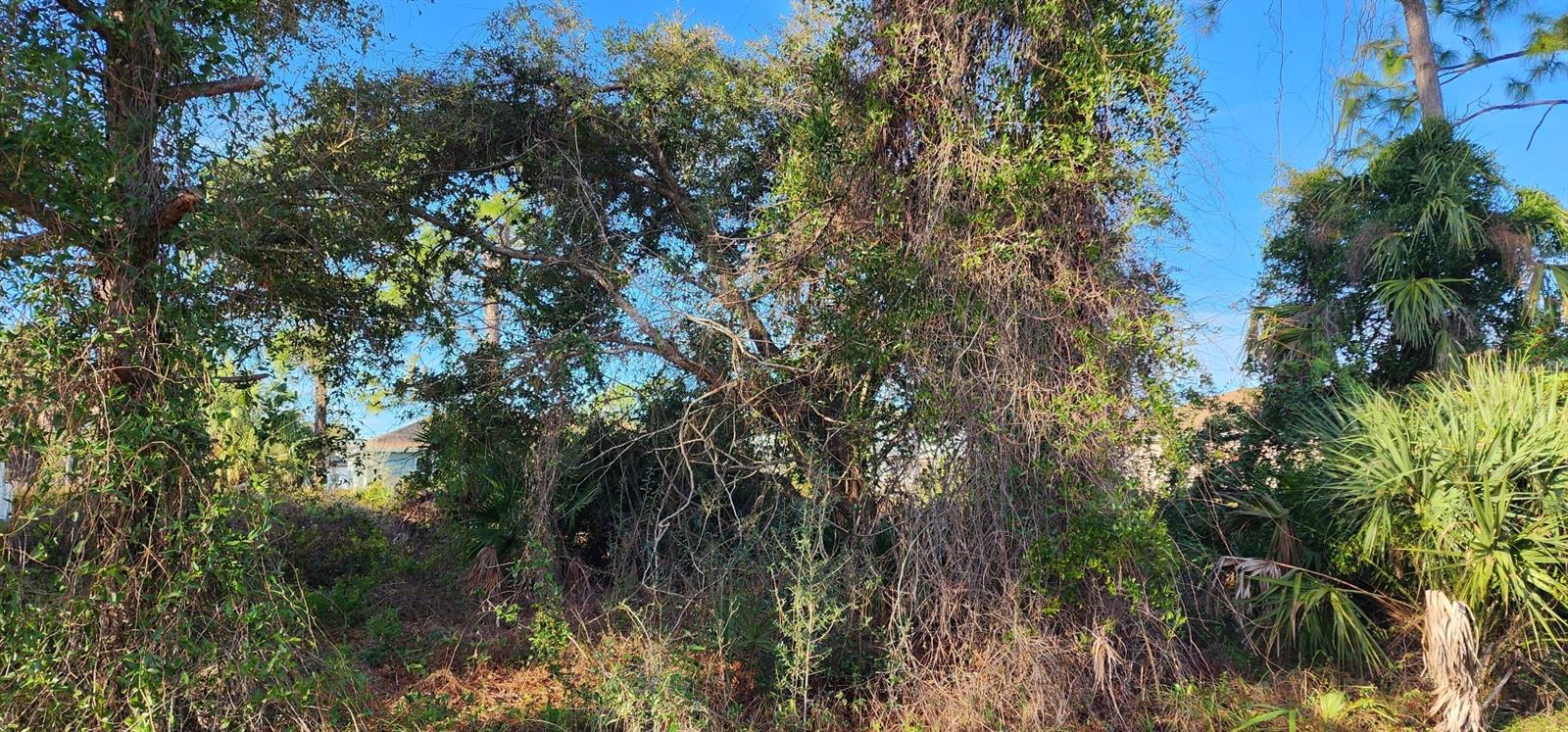 PORT CHARLOTTE SUB 23 - Land