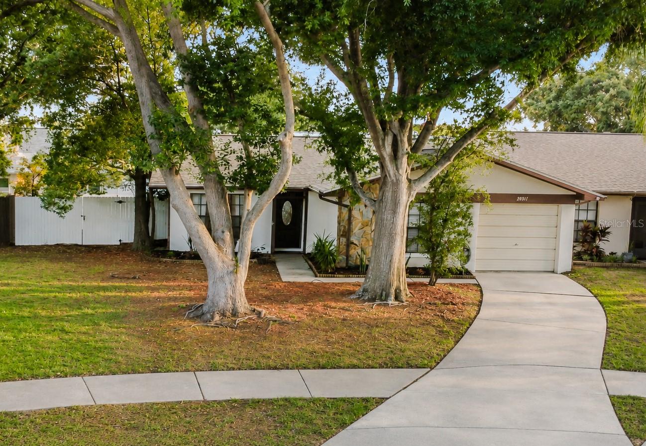 2031 DOVER COURT