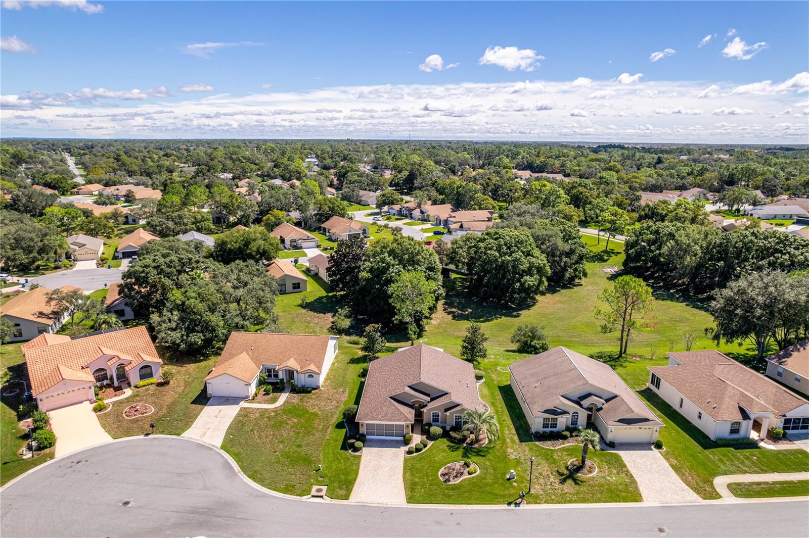 1040 WALNUT HILL COURT