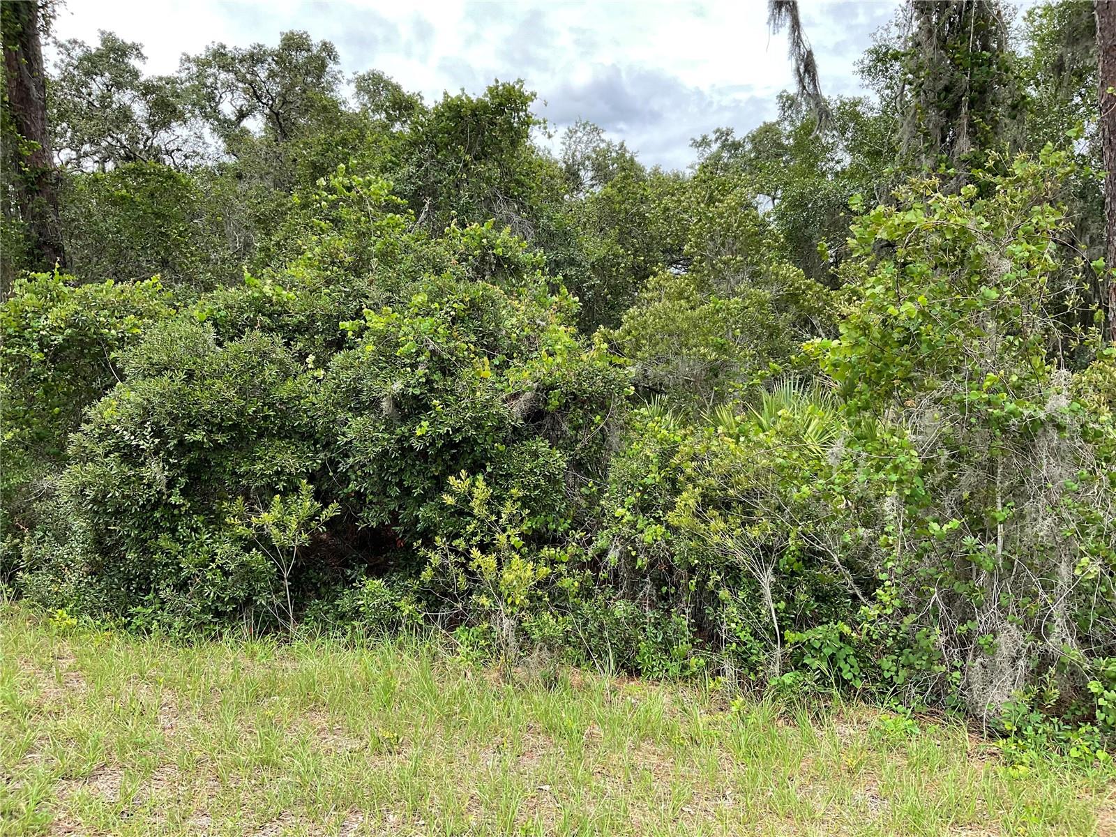 Discover peace and tranquility on this serene lot—an ideal setting to build your dream home. Surrounded by nature and offering a quiet escape from the hustle and bustle, this property is perfect for those seeking a calm and private lifestyle.