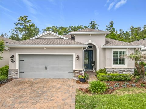 Photo of 1169 Avery Meadows Way, Deland, FL 32724 (MLS # O6401168)