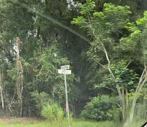 TBD OHIO ROAD ALTOONA FL 32702
