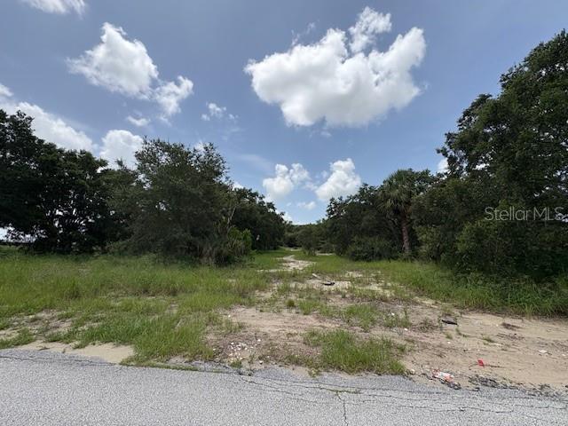 ALMOST 5 ACRES OF LAND IN A GREAT LOCATION!! HIGH AND DRY AND CONVIENTLY LOCATED BETWEEN LAKE WALES AND DUNDEE JUST OFF SCENIC HWY. NICELY WOODED VACANT PRROPERTY. DON'T DELAY CALL TODAY FOR DETAILS.