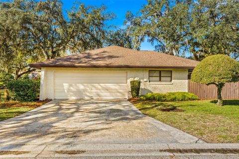 A home in TEMPLE TERRACE