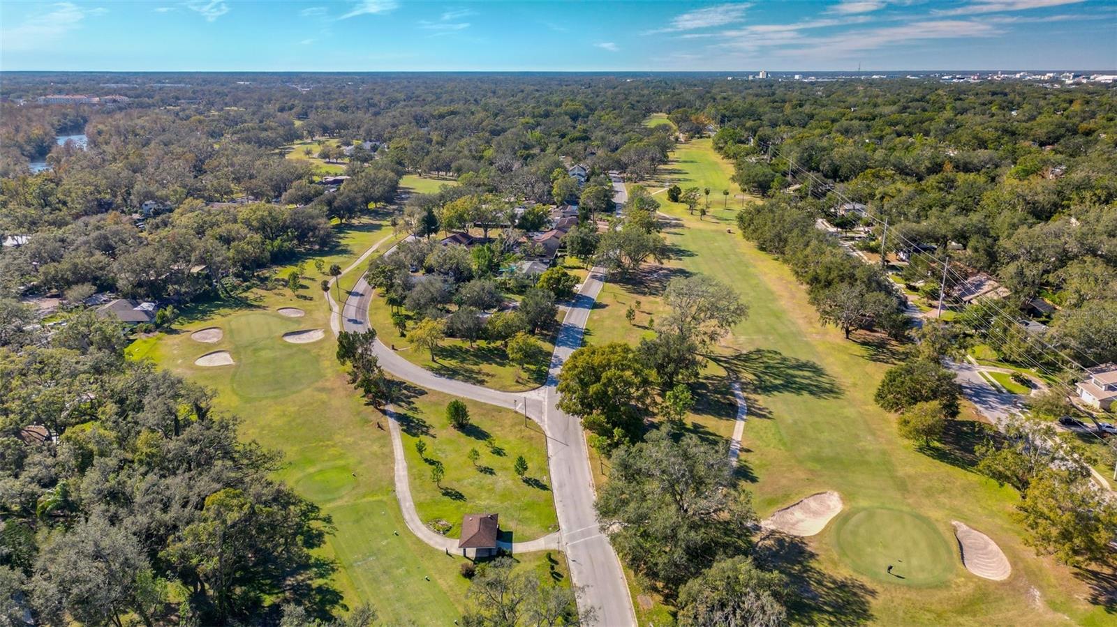 TEMPLE TERRACE ESTATES REP - Residential