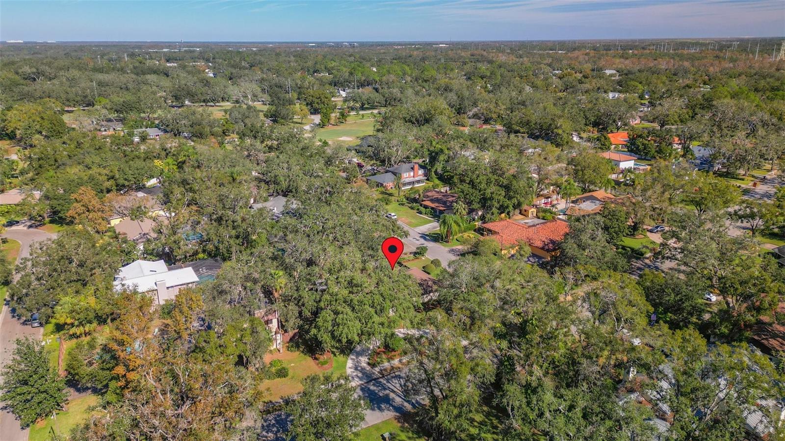 TEMPLE TERRACE ESTATES REP - Residential