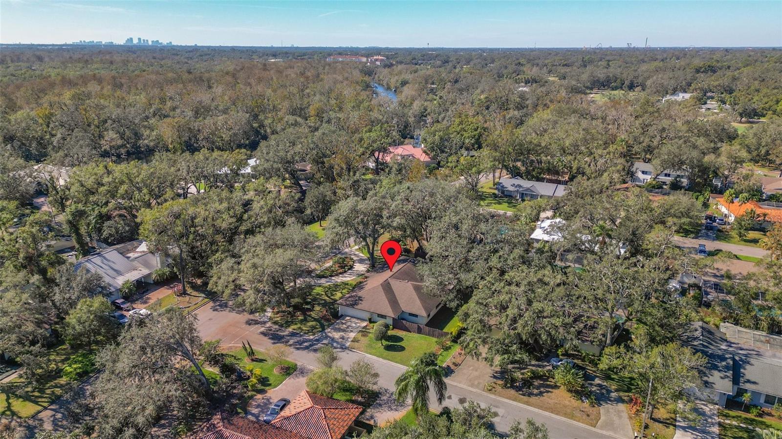 TEMPLE TERRACE ESTATES REP - Residential