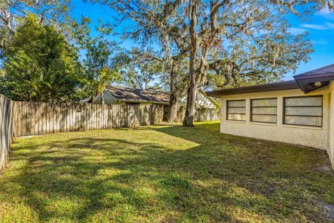 A home in TEMPLE TERRACE