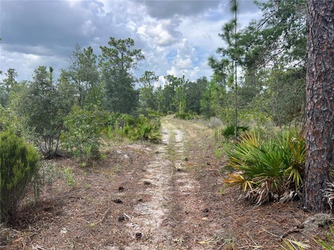 Photo of 200 Street, Archer, FL 32618 (MLS # GC542699)