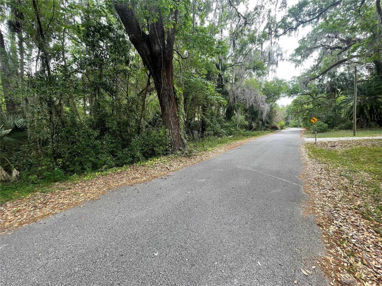 242 FRASER ROAD