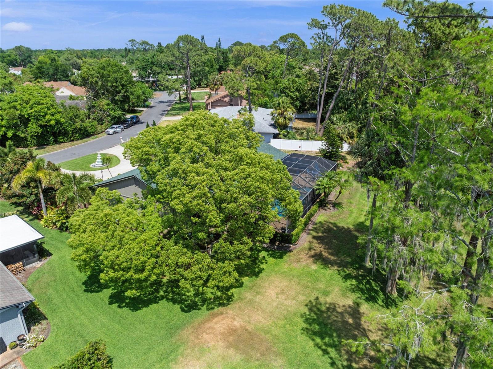 SUGAR MILL CNTRY CLUB & ESTATES U - Residential