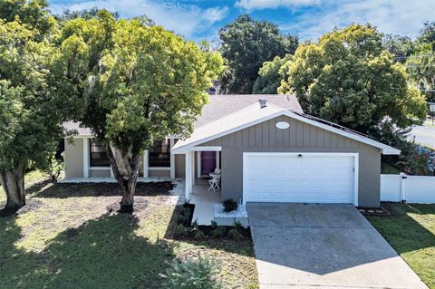 A home in EUSTIS