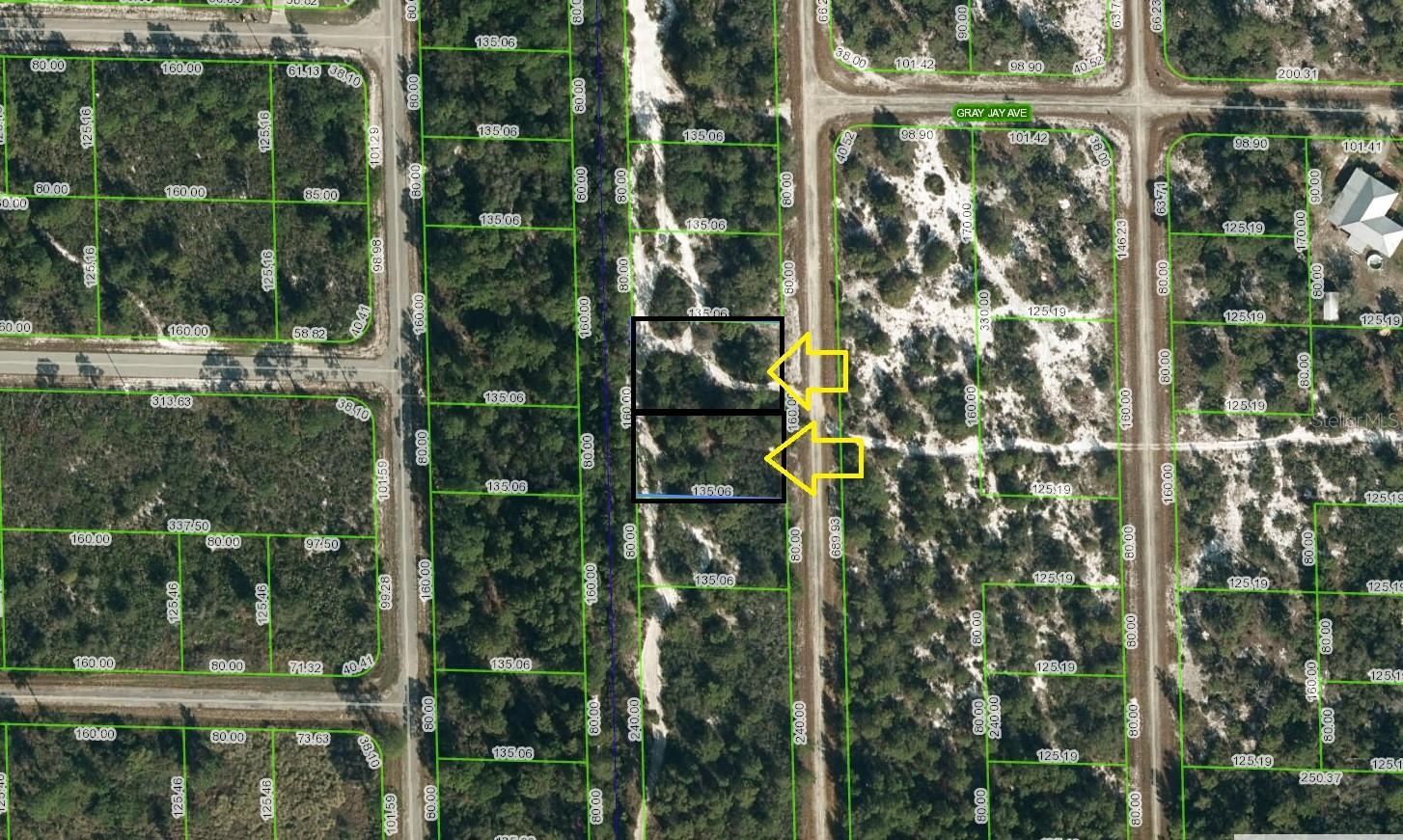 Lake Placid Double Lot - Buy 1 or Both! This is ONE PARCEL with TWO lots. Each lot is for sale individually. The price reflects ONE lot.