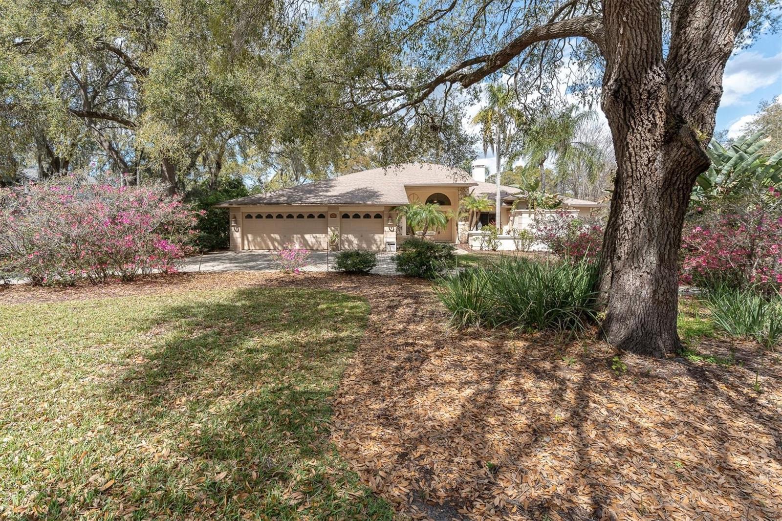 CRESCENT FOREST - Residential