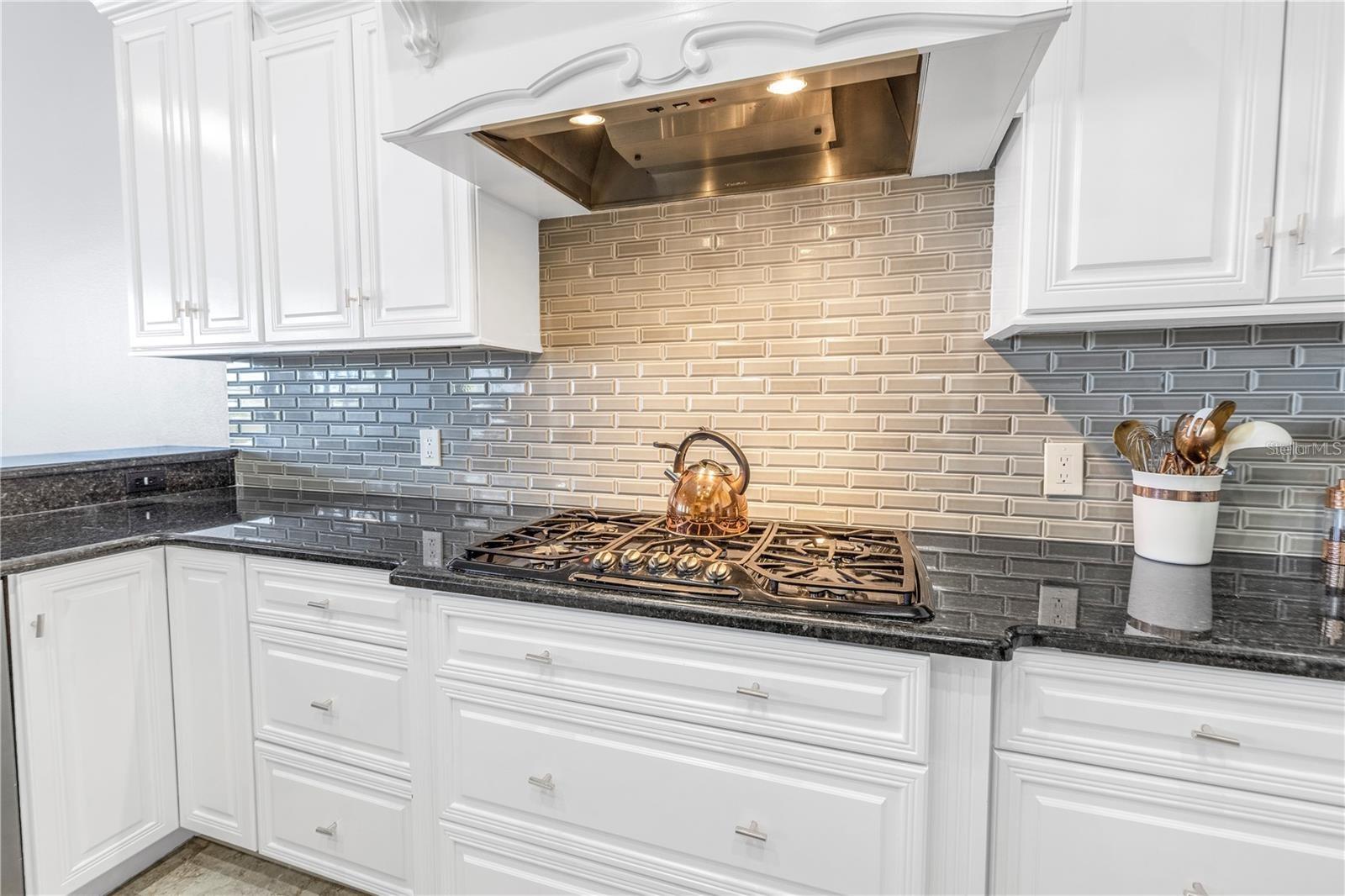 RESERVE OF OLD TAMPA BAY - Residential