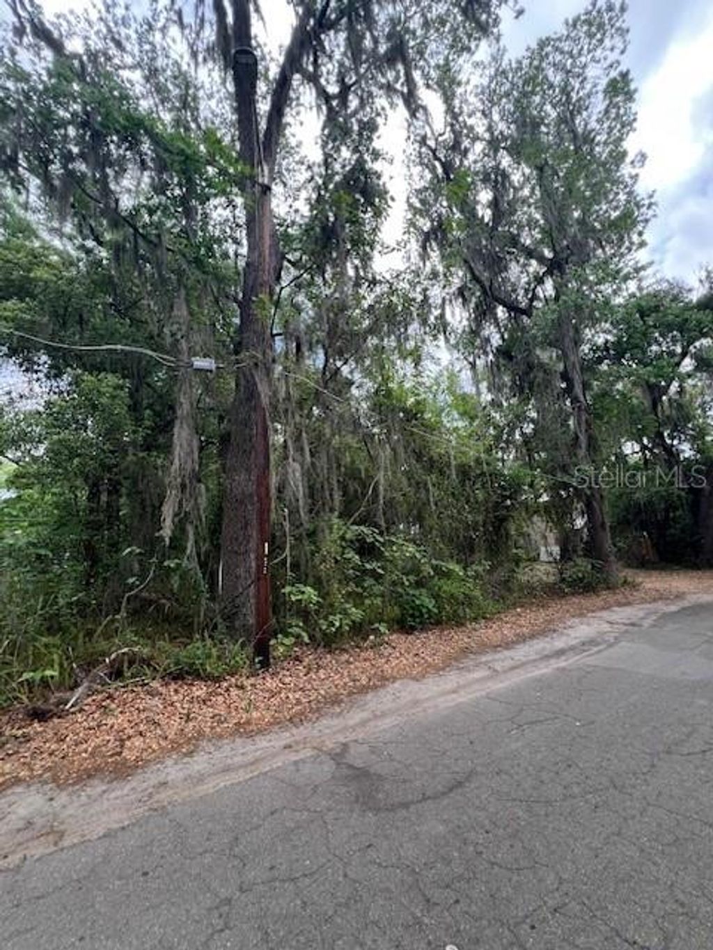 Photo of 120 NW 9th Street, Gainesville, FL 32601 (MLS # GC539312)