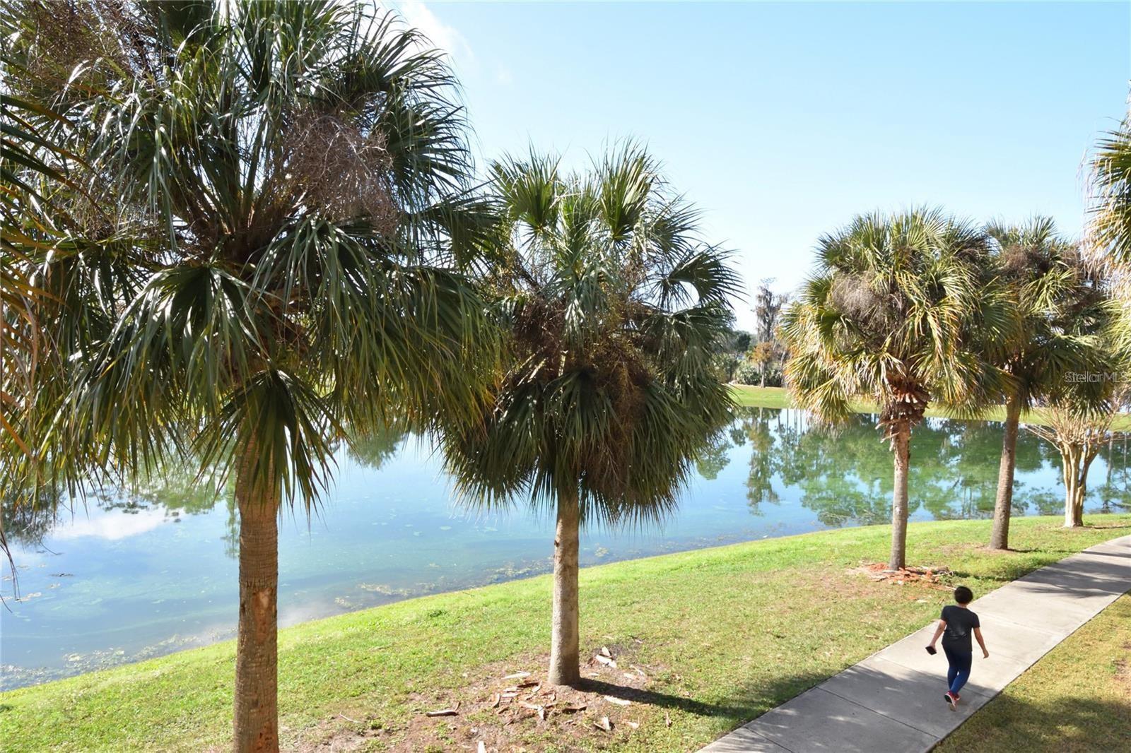 HAMPTONS/METROWEST - Residential