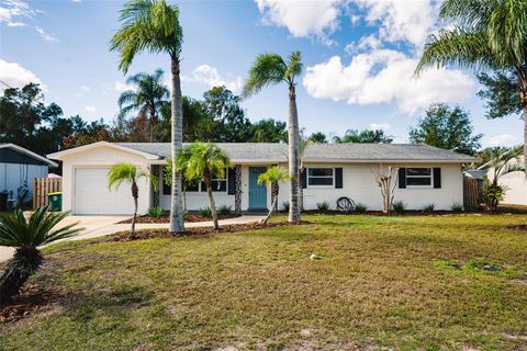 520 CAMELIA LANE DELAND FL 32724