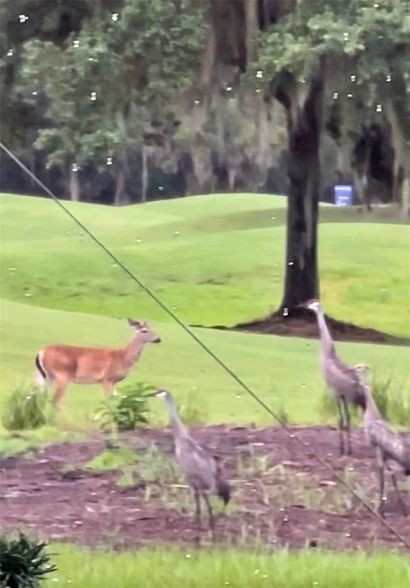 SOUTHERN HILLS PLANTATION PH 2 - Residential